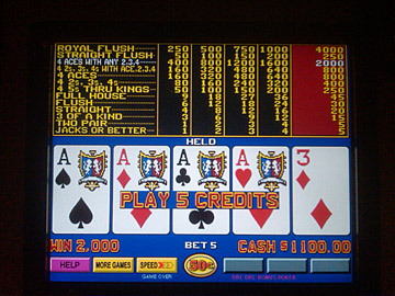 Aces kicker on 50 cents for a cool grand... third aces kicker of trip