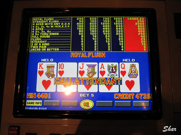 Shar's dollar progressive royal for $4401 !!!