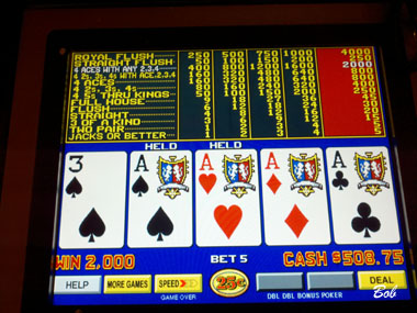 Last morning, Cage1198 DDB Aces Kicker, next to Lisa