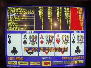 Aces w/o kicker on a 50 cent VP, Sharon's