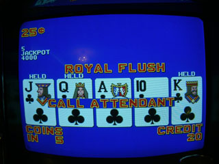 Bob's second Royal Flush of the trip, humbled or humiliated by nearby bunnies...